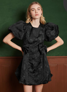 SJ Birch Bow Mini Dress