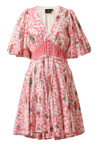 Emily Andrea Dress