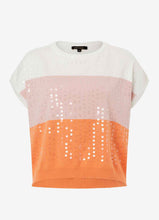 Load image into Gallery viewer, More and More sequin Top
