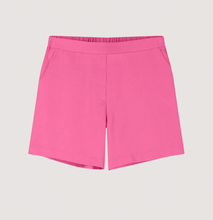 Load image into Gallery viewer, Selena Cotton Candy Shorts
