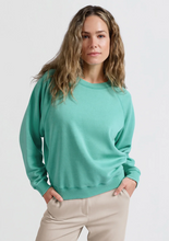 Load image into Gallery viewer, Yasmine Raglan Sweater
