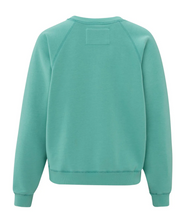 Load image into Gallery viewer, Yasmine Raglan Sweater

