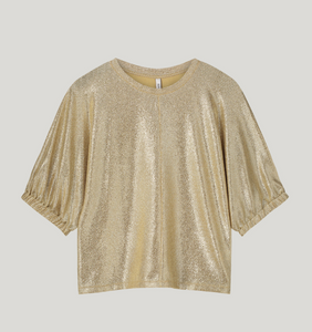 Selena Batwing gold Top