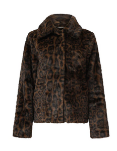 Sadie 25539 JACKET