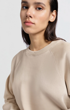 Load image into Gallery viewer, Yasmine Raglan Sweater
